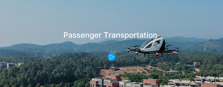 Passenger Transportation